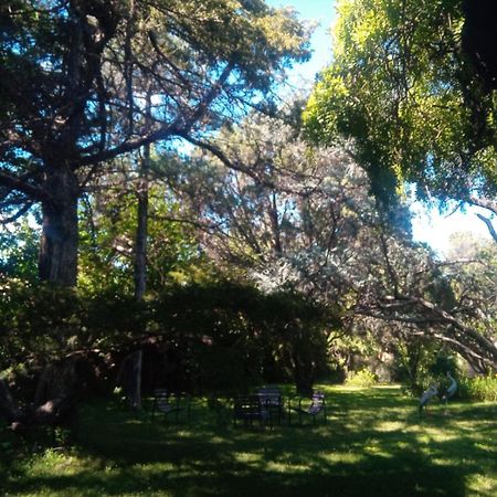 מינה קלאוורו Cabana En Quinta La Aurora מראה חיצוני תמונה