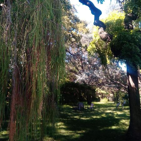 מינה קלאוורו Cabana En Quinta La Aurora מראה חיצוני תמונה