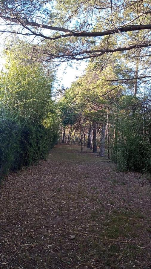 מינה קלאוורו Cabana En Quinta La Aurora מראה חיצוני תמונה