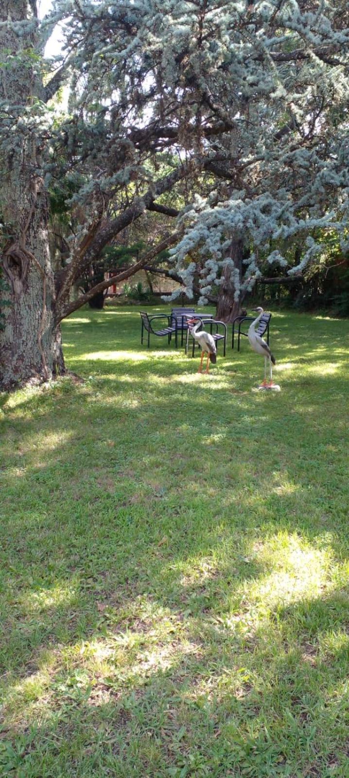 מינה קלאוורו Cabana En Quinta La Aurora מראה חיצוני תמונה