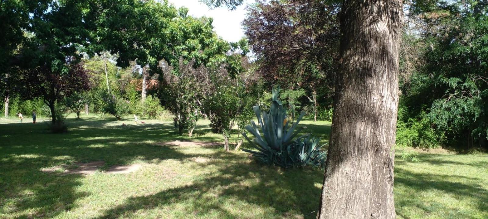 מינה קלאוורו Cabana En Quinta La Aurora מראה חיצוני תמונה